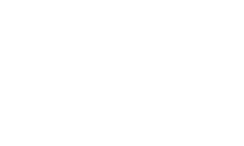 BEST Niš